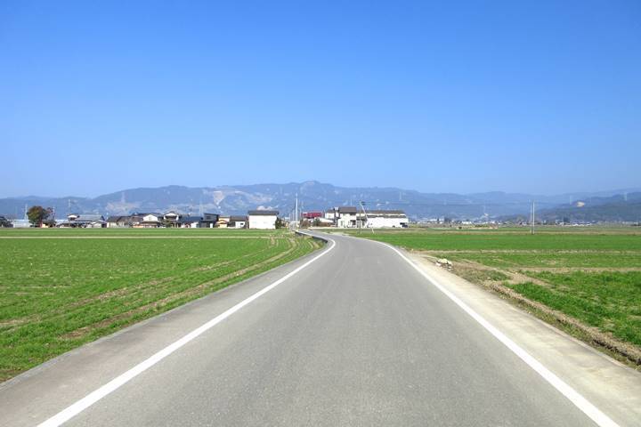 5.JPG