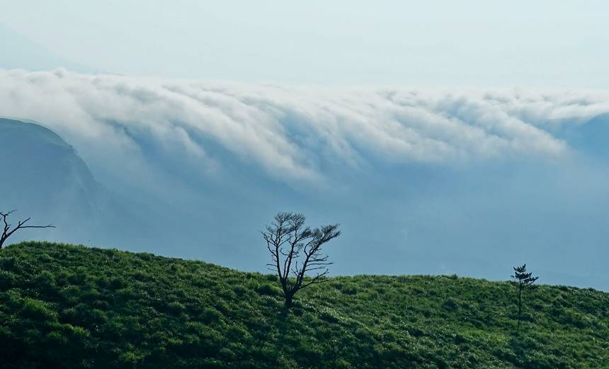 滝雲.jpg