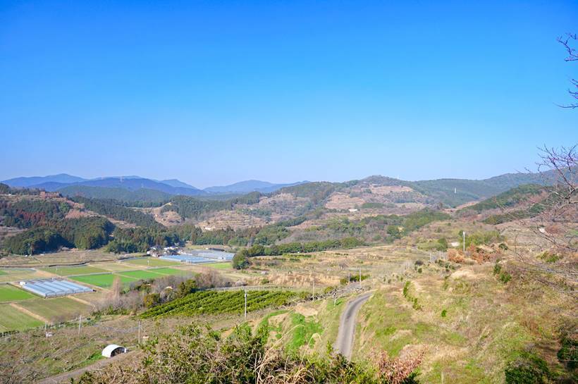 r22.JPG